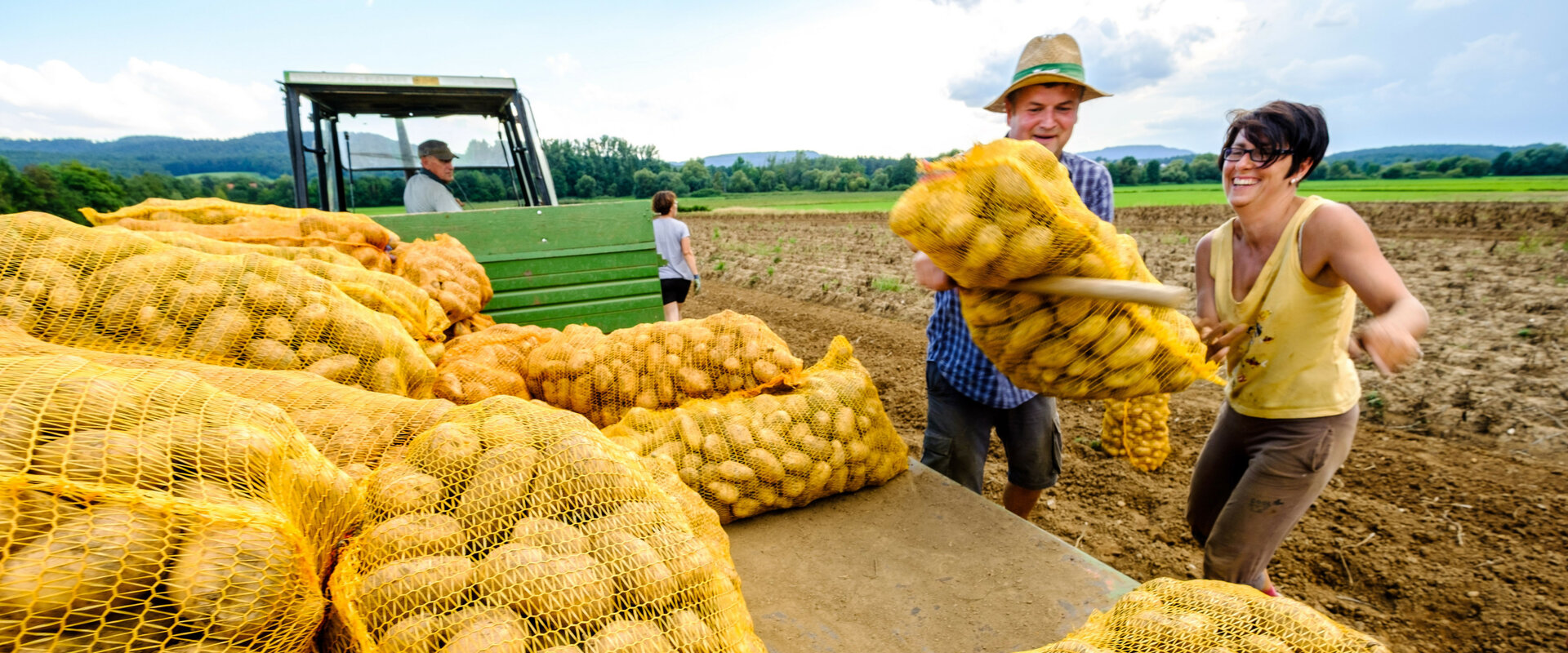 Kartoffelernte beim Zieglerbauern